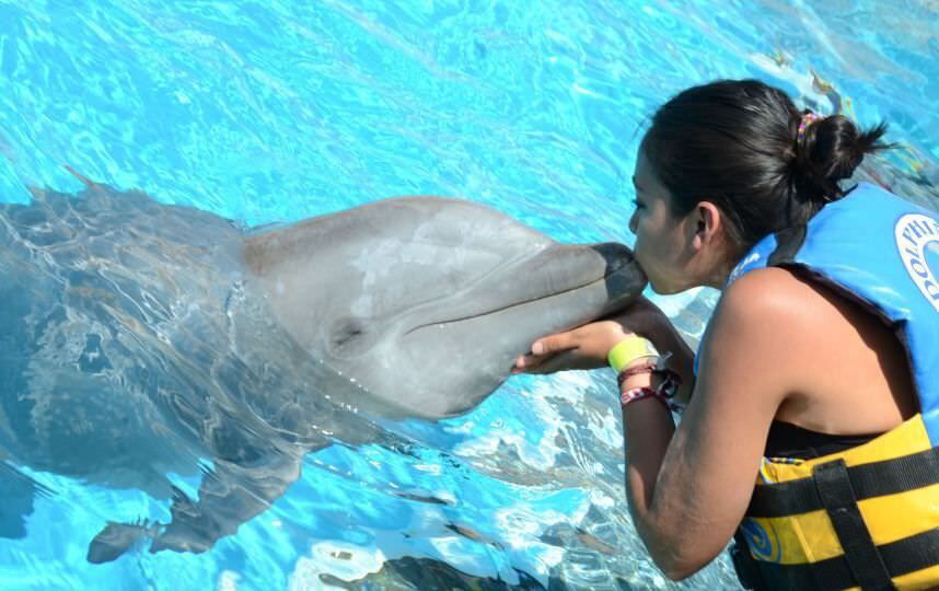 FOTOS: A nadar con delfines… en la Ciudad de México – Publimetro México