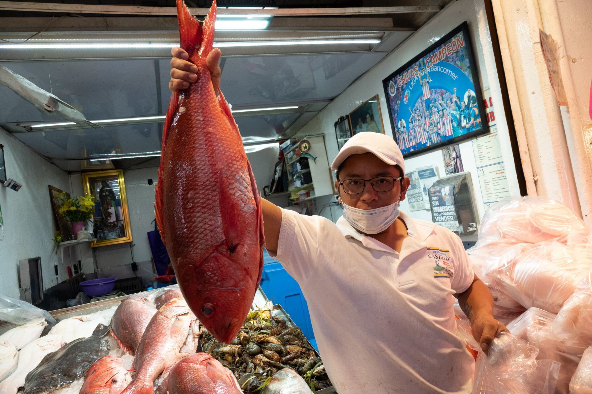 Que no te vean la cara esta temporada: Precio promedio de pescado y mariscos  – Publimetro México