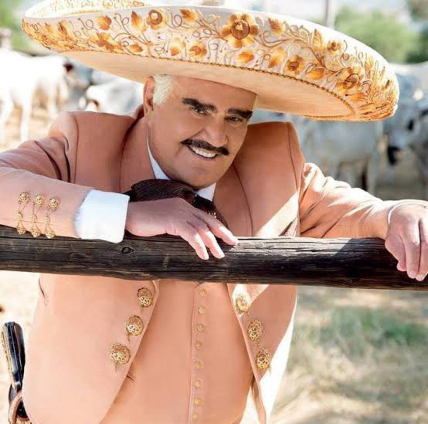 El Rey Serie De Netflix Sobre La Vida De Vicente Fernández ¿en Qué Se Diferencia De La De 