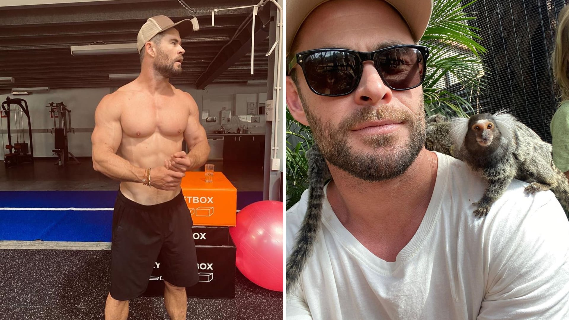 O chef particular de Chris Hemsworth revela detalhes da dieta extrema do  ator contra o Alzheimer - GDSNews