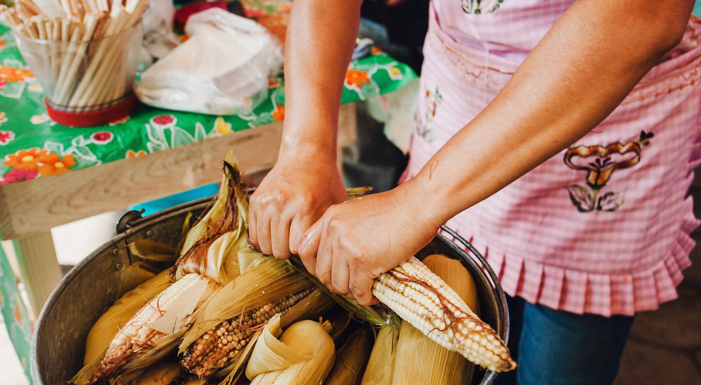 Es el elote una opción más del turismo gastronómico de Nuevo León