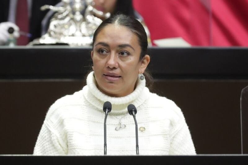 diputada del PRD, Elizabeth Pérez Valdez