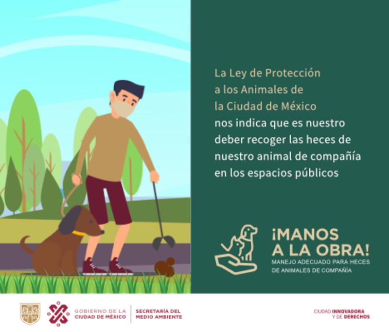 Ley de Protección Animal