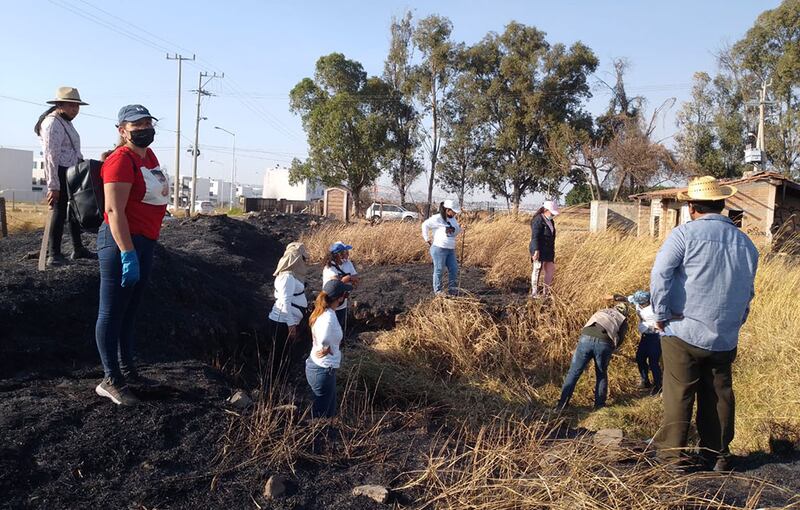 Los hallazgos se registraron en zonas populares de Tlajomulco.