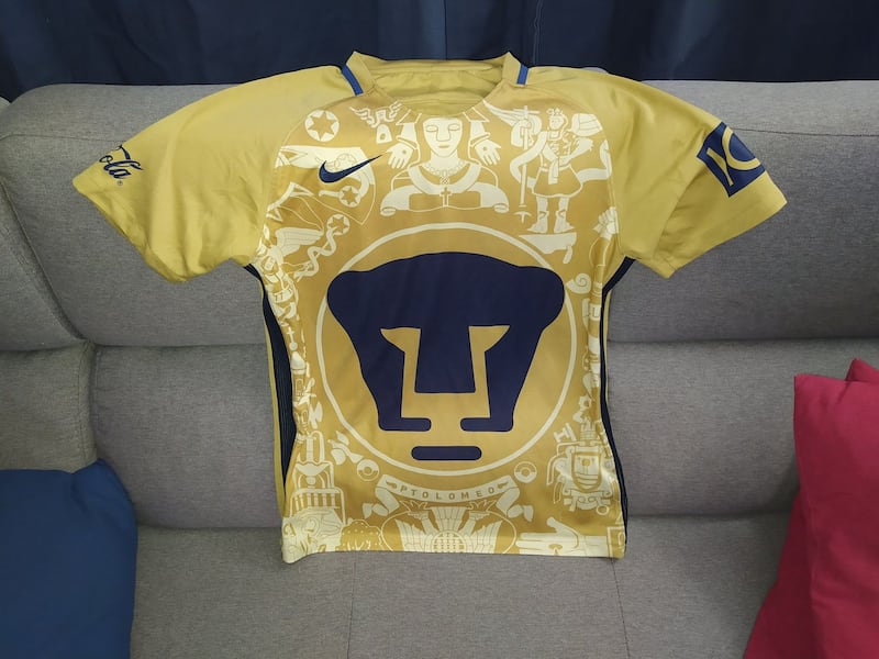 Jersey Pumas 2016.