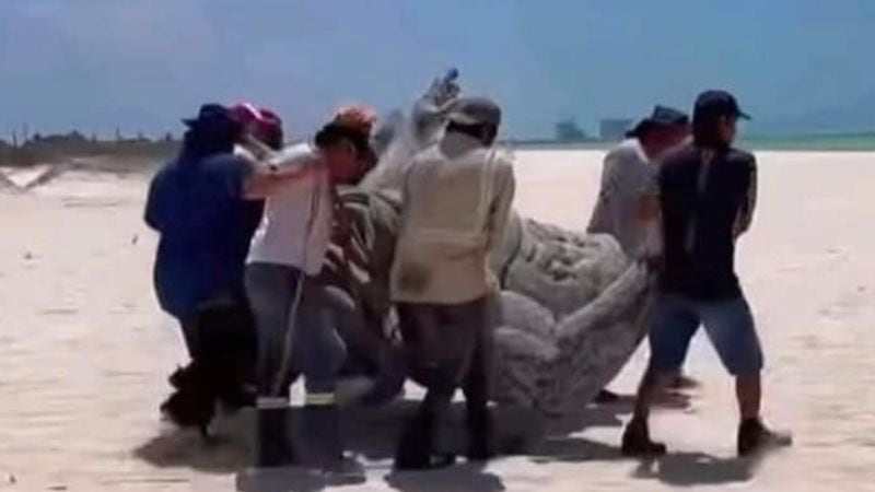 Estatua de Poseidón en Yucatán aparece en partes en redes sociales