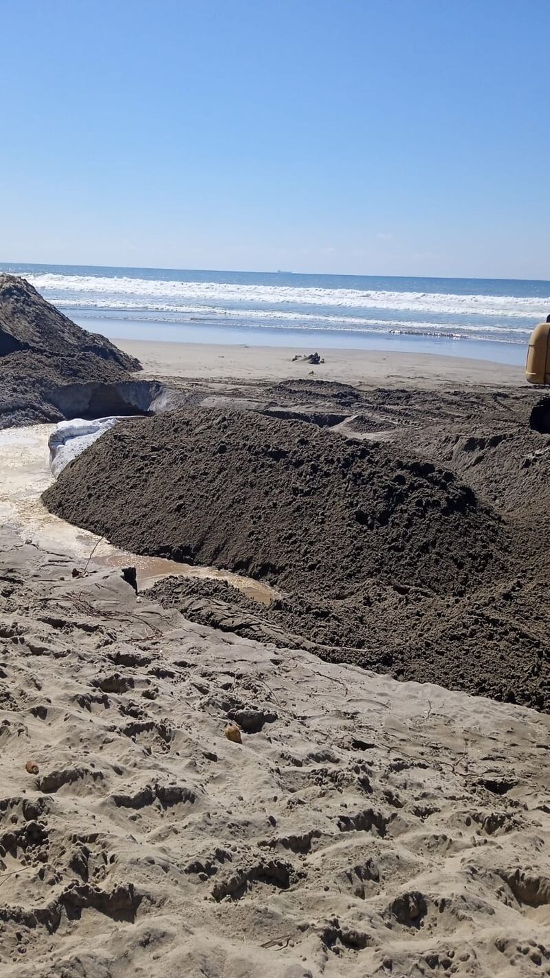 Polémico entierro de una ballena en las playas de Acapulco ¿era buena solución?