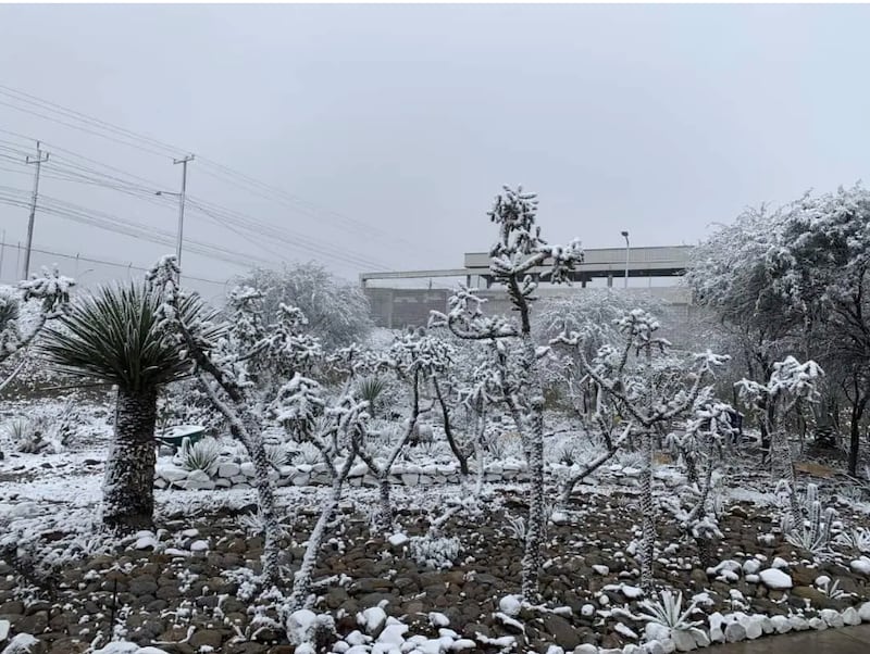 La nieve cubrió las calles. (Especial)