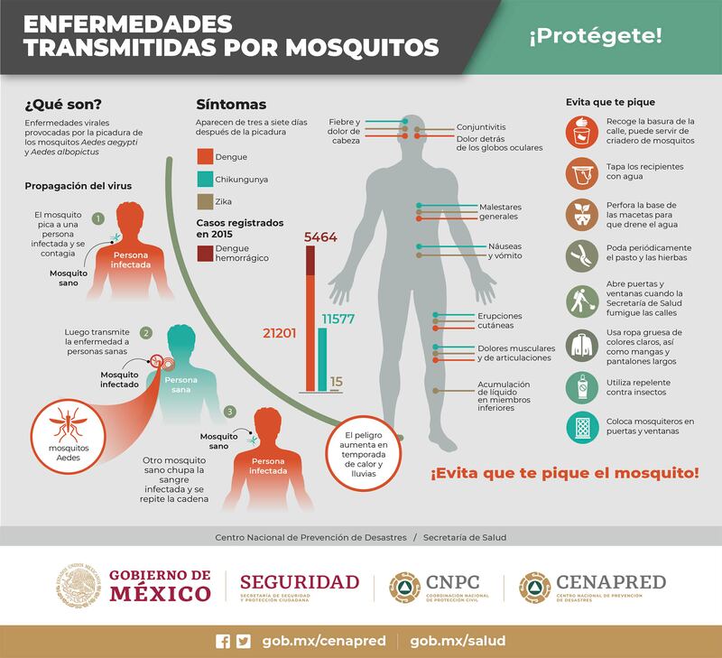 Enfermedades por mosquitos