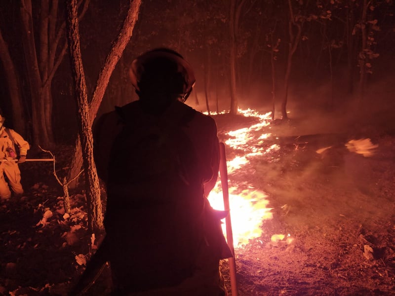 La Fiscalía de Jalisco ya investiga al presunto responsable de provocar este incendio.