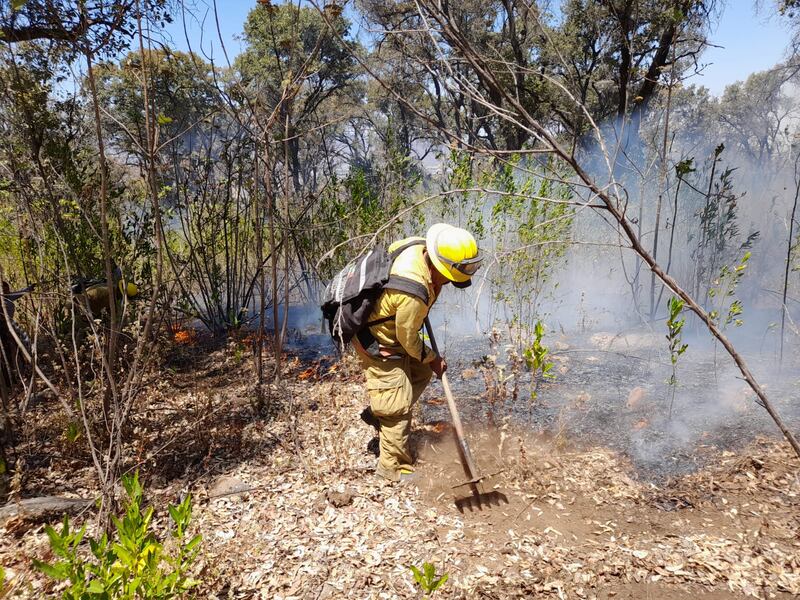 Los incendios en Tlajomulco ocurrieron en zonas de pastizales y rastrojo.