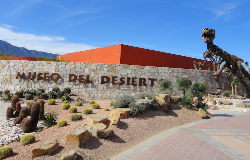 Museo del Desierto