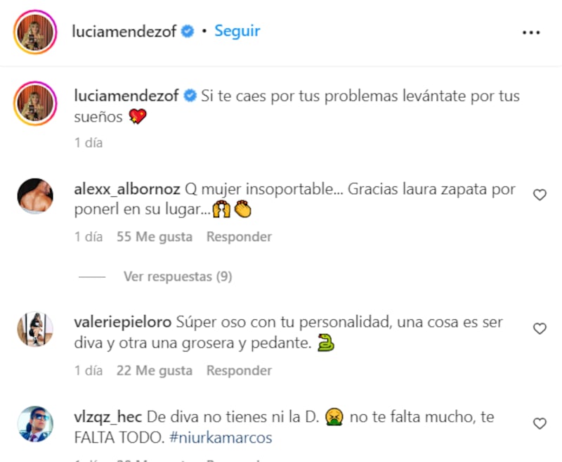 Foto: capture de comentarios perfil de Instagram @luciamendezof