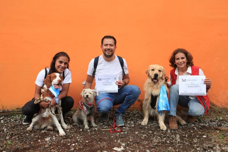 Tlalpan capacitan a perros de hogar en rescate.