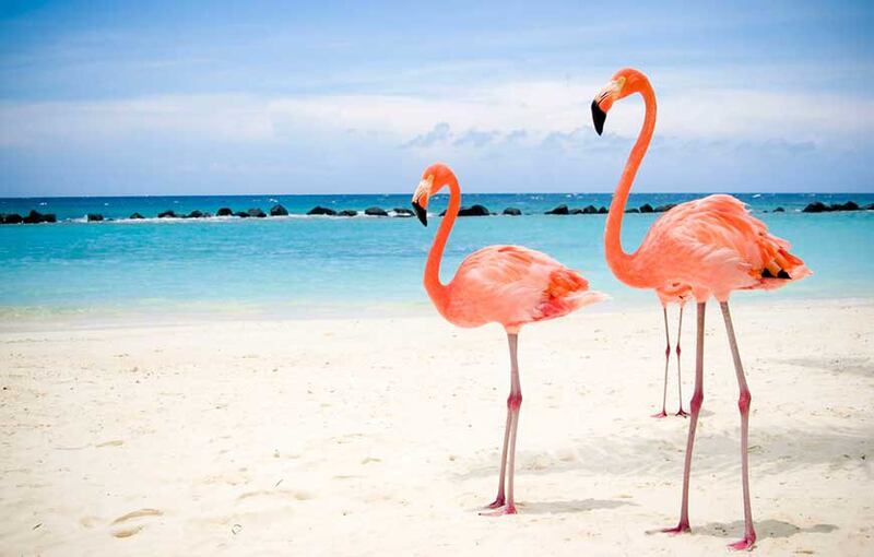 Las Coloradas Parque Turístico