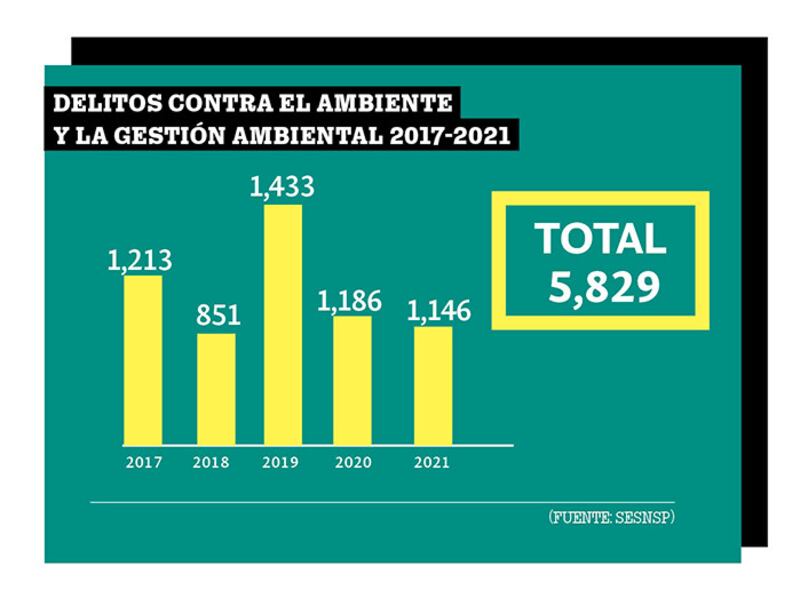 Delitos ambientales en México, concentrados solo en 8 estados