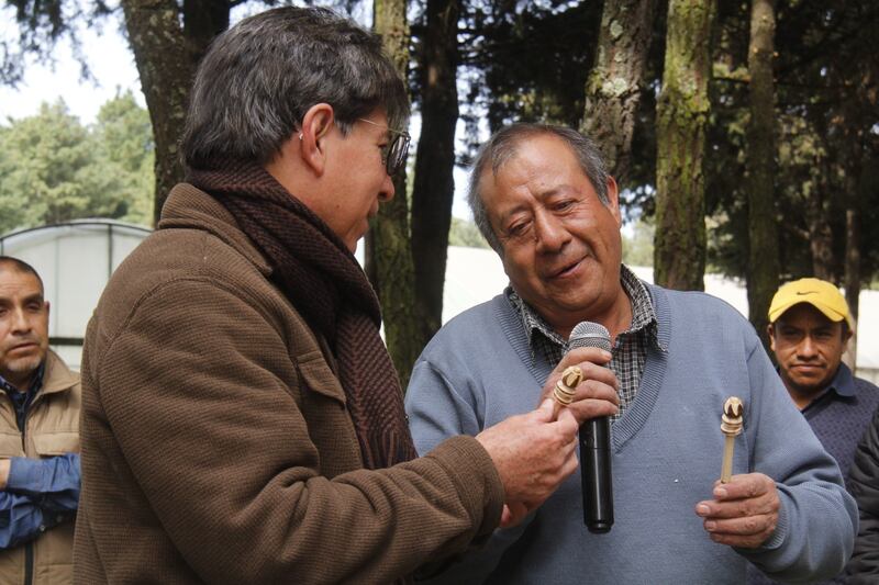 Reciclan árboles de Navidad en Edomex para fabricar juguetes