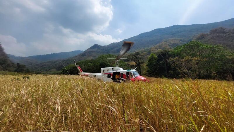¿Cómo combaten los incendios forestales en Oaxaca?