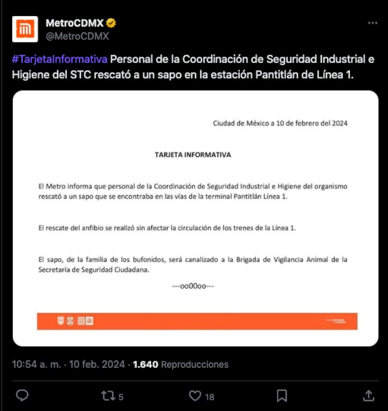 ¿Iba para Chapultepec? Rescatan un sapo en Pantitlán de la Línea 1 del Metro