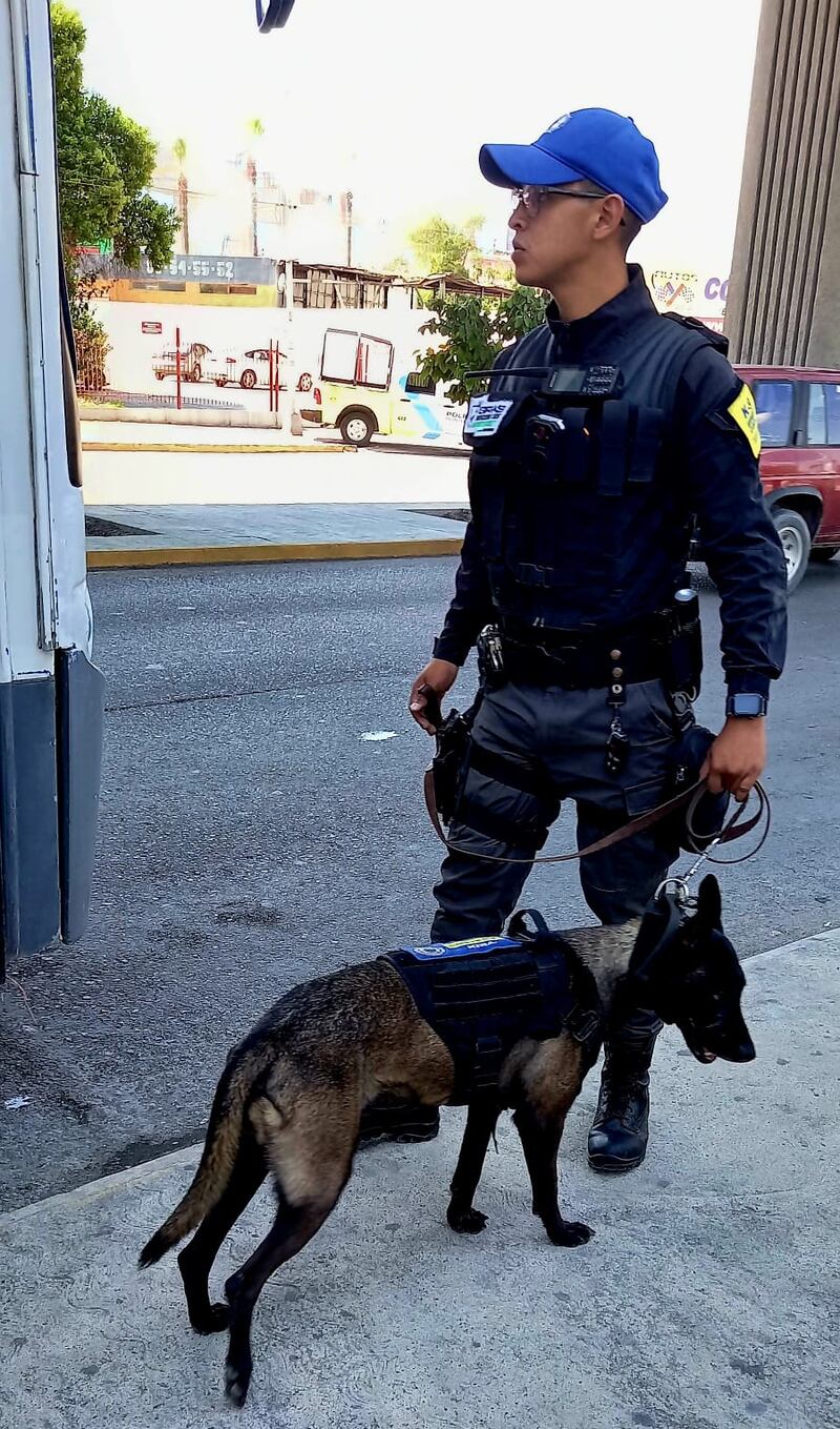 El Grupo Canino también participa en el operativo.