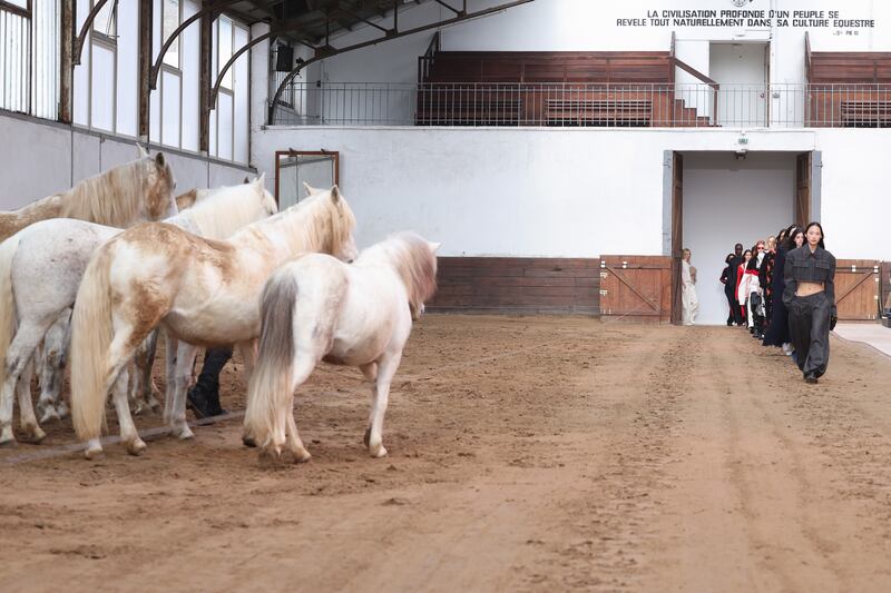 Desfile de caballos