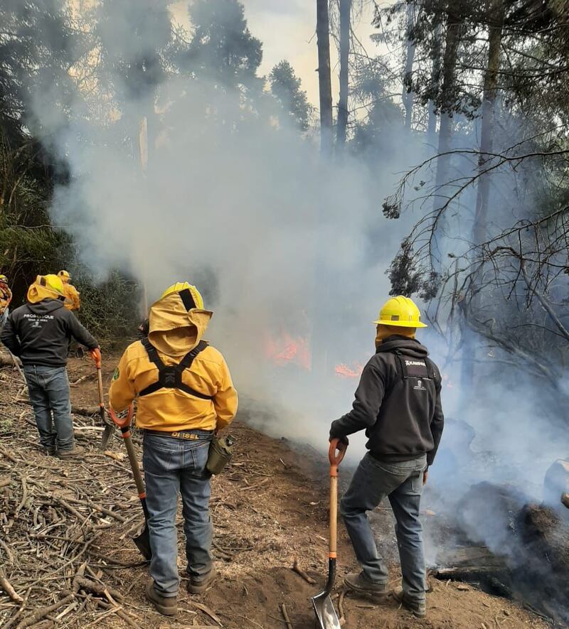 Brigadas mexiquenses abaten incendios en Izta-Popo y Donato Guerra, reporta avance del 95% de control