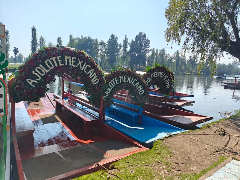 Esta cerveza se convierte en el complemento perfecto para una experiencia gastronómica en las chinampas