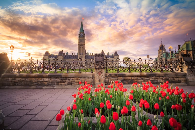 Ottawa es un tesoro cultural con una gran oferta para todos los gustos. Juan Pablo Suárez, Manager de Travel Trade de Ottawa Tourism nos habla de los atractivos que tiene esta urbe y por qué elegirla para tus vacaciones