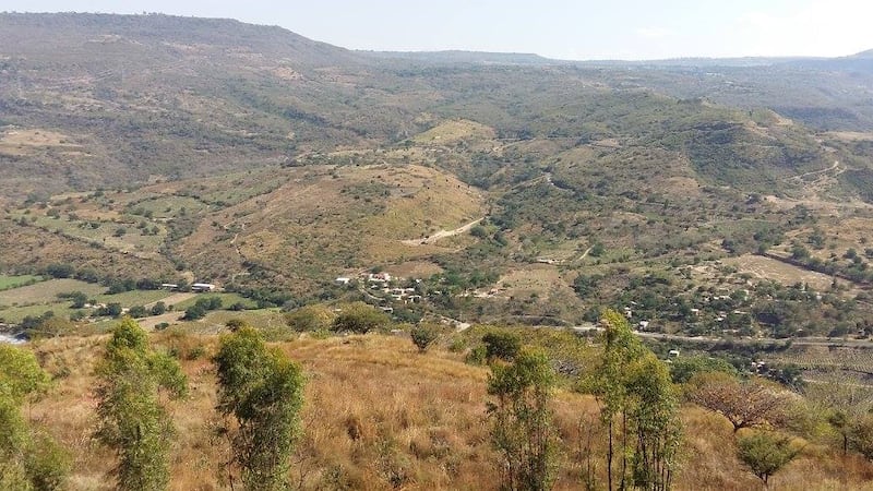 Ambientalistas denuncian un ecocidio por el derribo de arbolado para ampliar las celdas.