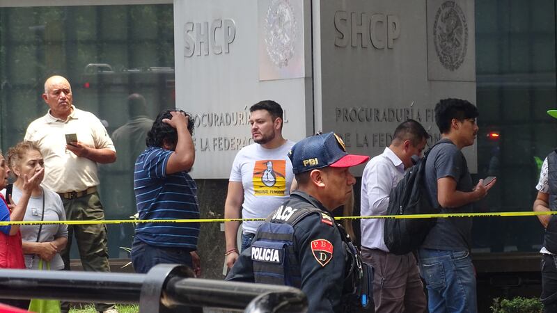 Caída de árbol en Insurgentes deja daños materiales y afectación vial