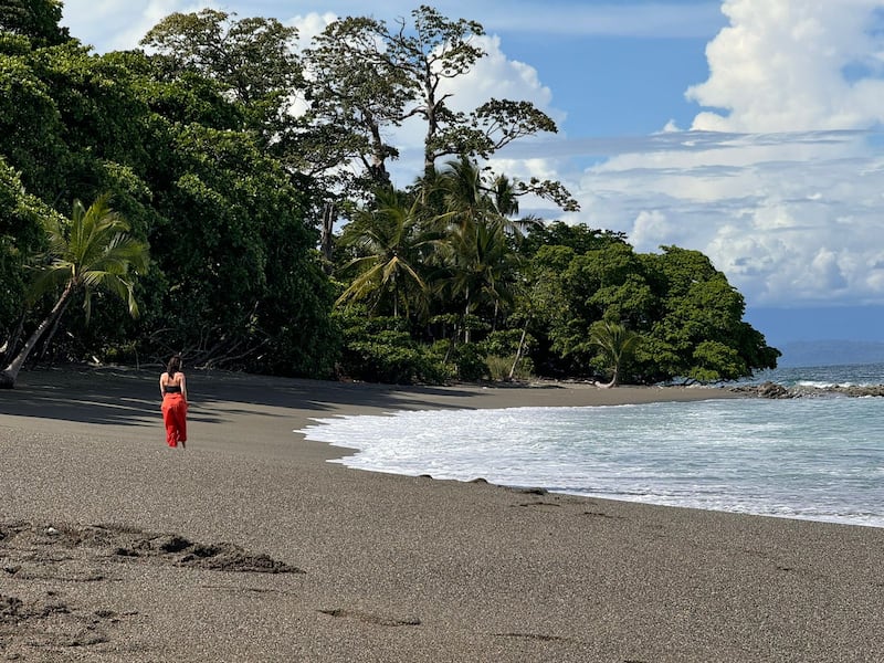 Conoce este eco-resort ubicado en Puerto Jiménez, Costa Rica donde la conservación y el lujo se fusionan en un entorno natural impresionante. Desde caminatas por la selva hasta cenas gourmet con ingredientes locales, este destino sorprenderá al ecoturista