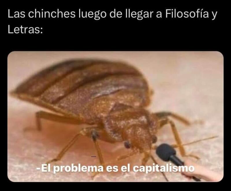 Memes por plaga de chinches en facultades de la UNAM