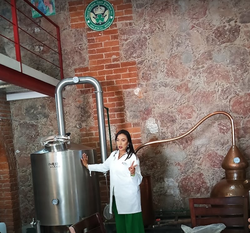 Este tour fusiona el sabor del whiskey mexicano con la cultura irlandesa con degustaciones de alta calidad, comida inspirada en la isla Esmeralda y cócteles exclusivos, rodeados por los volcanes Popocatépetl e Iztaccíhuatl