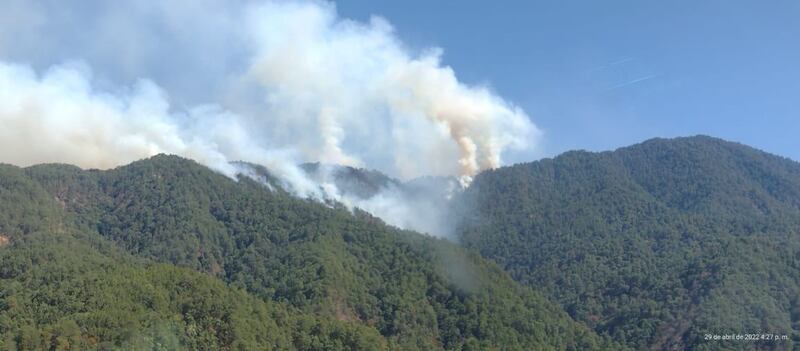 Se trata de uno de los incendios más destructivos de la actual temporada de estiaje.