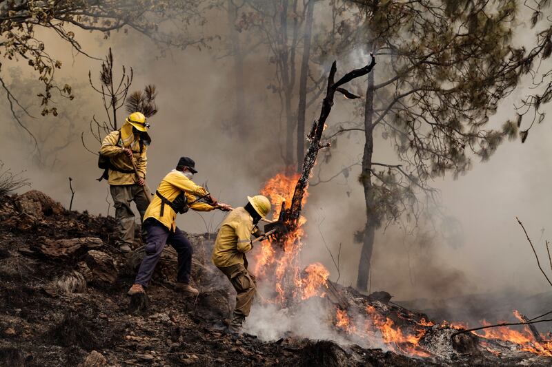 Este año será particularmente seco en Jalisco y por ello se acrecentarán los incendios en zonas boscosas.