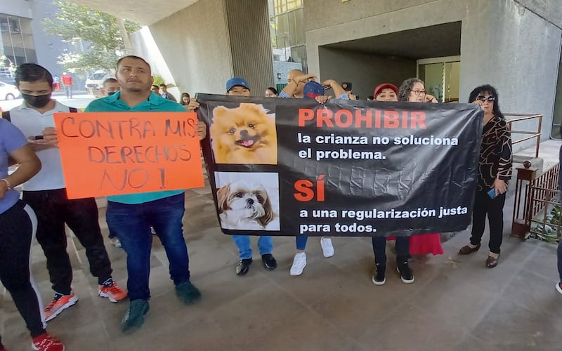 Los criadores piden una regulación justa en el tema.