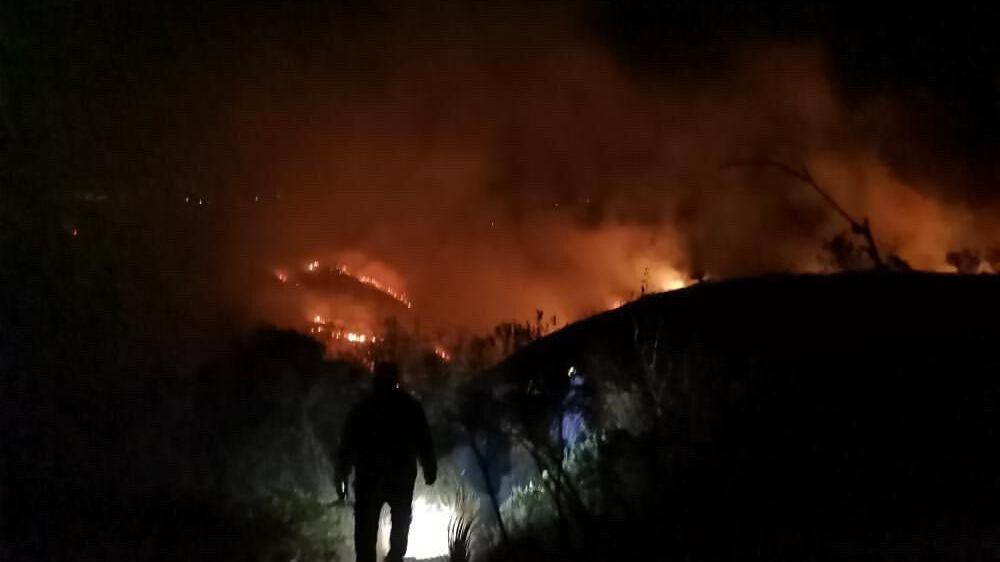 Incendios forestales en Oaxaca