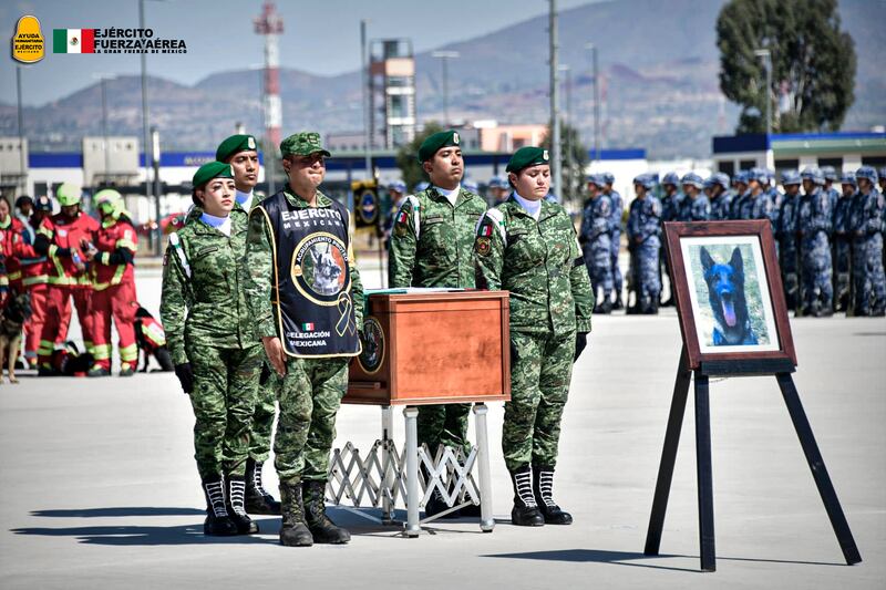 Homenaje a Proteo.