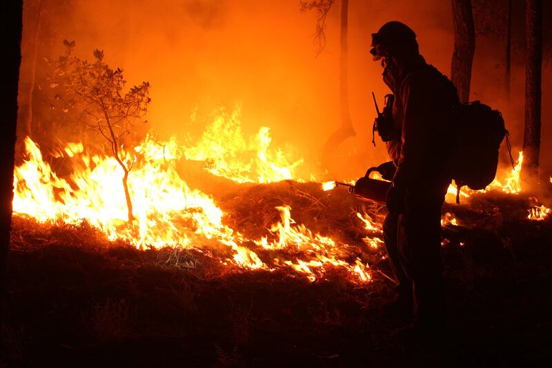 Incendios forestales