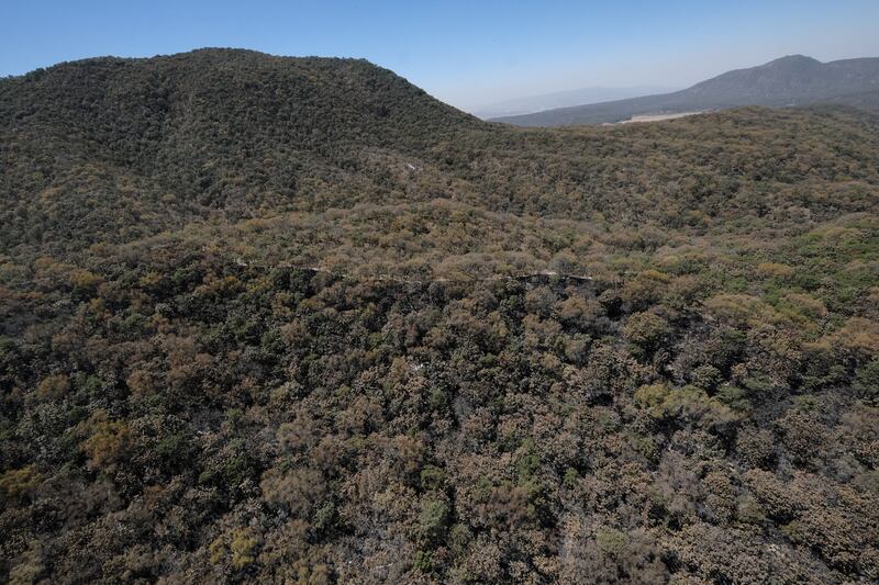 Autoridades realizaron un sobrevuelo para cuantificar finalmente los daños provocados por el siniestro.