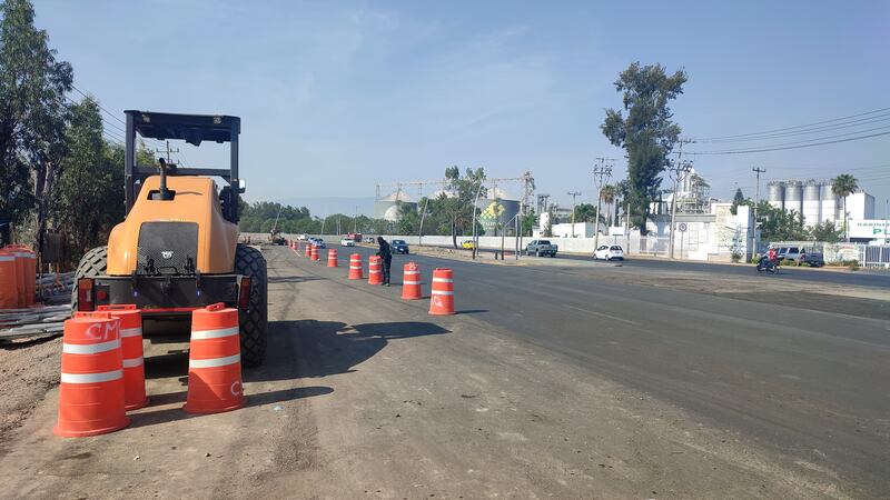 De momento no se ha informado el plan de manejo de arbolado para esta zona de obras.