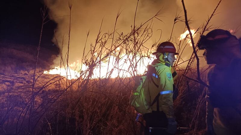 El incendio destruyó 300 metros de pastizales y hojarazca, el viento complicó las labores de control y sofocación.