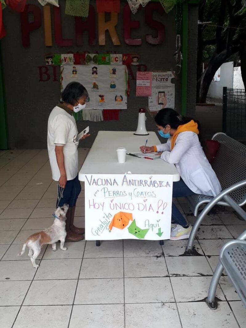 Campaña antirrábica CDMX