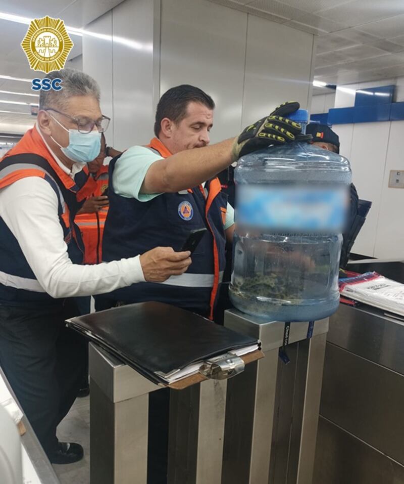 Serpiente rescatada en estación Revolución de la Línea 2 del Metro