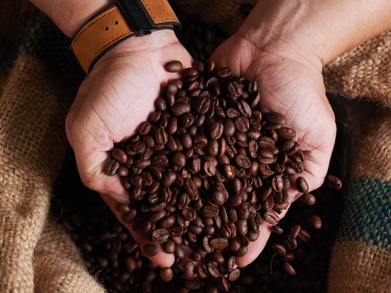 Aprende sobre las condiciones que necesita la planta de café para florecer, las medidas en sostenibilidad y la oferta de las comunidades mexicanas