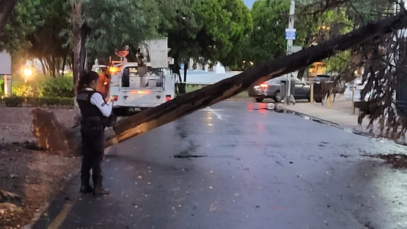 Afectaciones por lluvia se dieron en viviendas, árboles, escuelas, vehículos y espectaculares. (Cortesía)