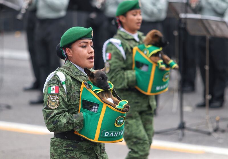 Desfile militar: Guardia Nacional y militares ensayan