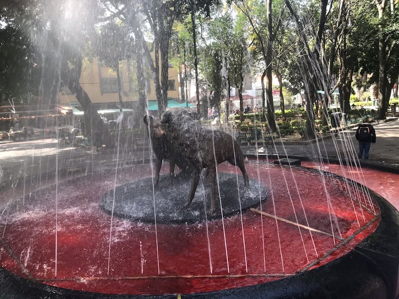 Fuente en Coyoacán