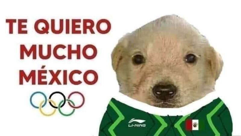 Memes perrito "te quiero mucho" | Redes sociales