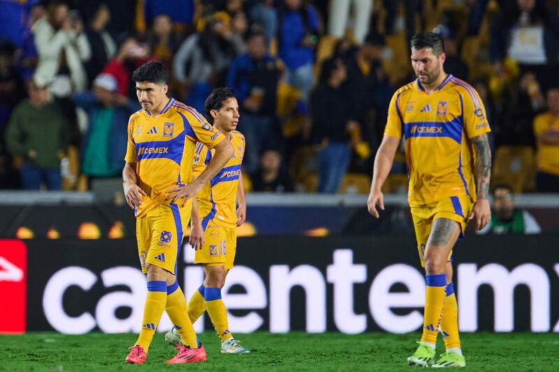 Tigres